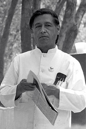 Latino Quote Of The Day by Cesar Chavez